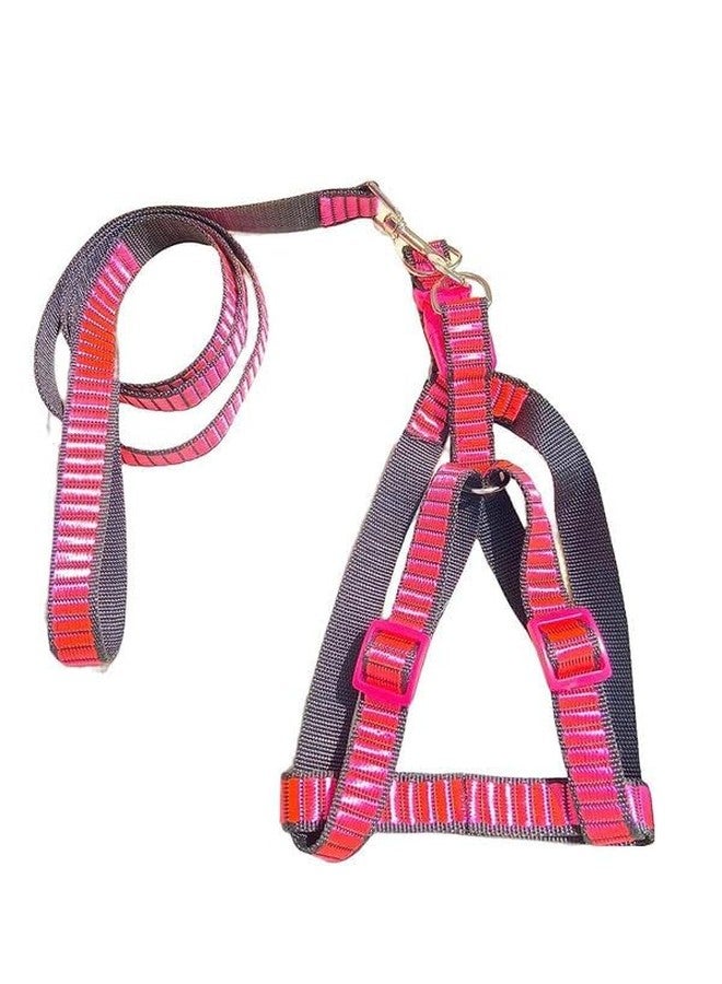 KittuPet Dog Harness Leash Set Adjustable, Leash with Harness Set Printed Nylon Puppy Harness for Small & Medium Dogs (0.5 INCH) (Red) - Image 1